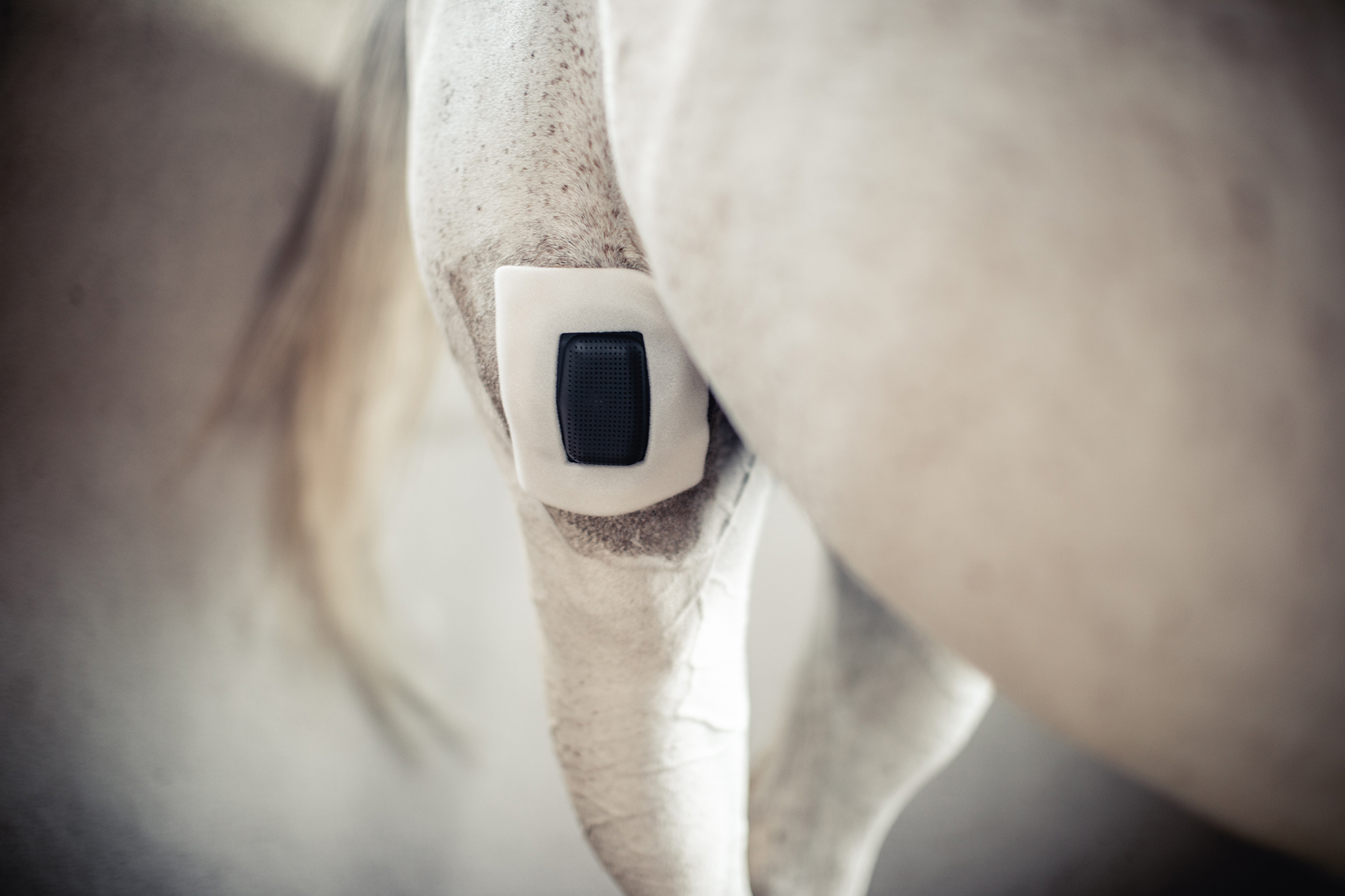 Rheva Combo Wondbescherming 2026 Rheva Combo Wondbescherming - Afbeelding 5