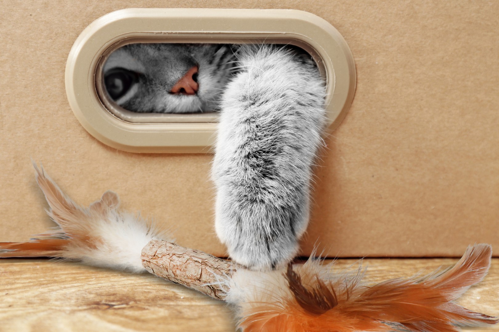 Addicted! Stick with Caterpillar & Feathers 2026 Addicted! Stick with Caterpillar & Feathers - Afbeelding 4