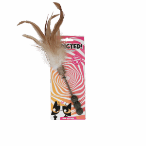 Addicted! Stick with Balls & Feathers