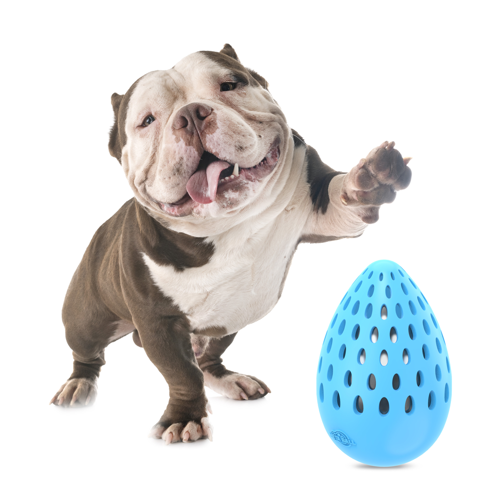 AFP Meta Ball - Holey Egg indestructible M 2026 AFP Meta Ball - Holey Egg indestructible M - Afbeelding 5