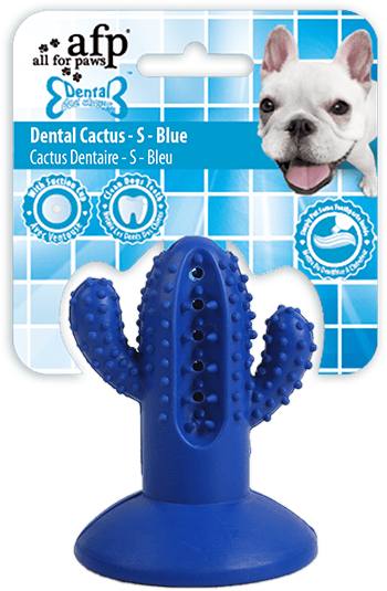 AFP Dental Chews - Dental Cactus S Blauw 2026 AFP Dental Chews - Dental Cactus S Blauw