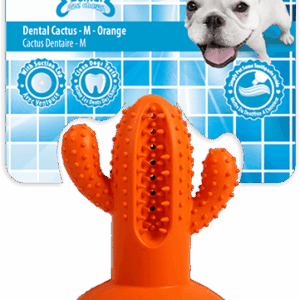 AFP Dental Chews - Dental Cactus M Oranje