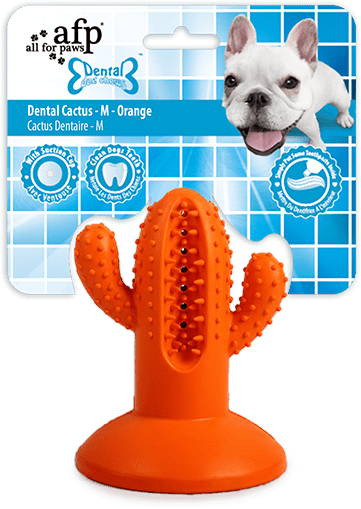 AFP Dental Chews - Dental Cactus M Oranje 2026 AFP Dental Chews - Dental Cactus M Oranje