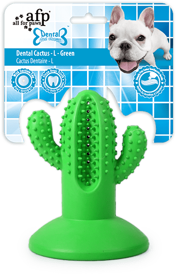 AFP Dental Chews - Dental Cactus L Groen 2026 AFP Dental Chews - Dental Cactus L Groen