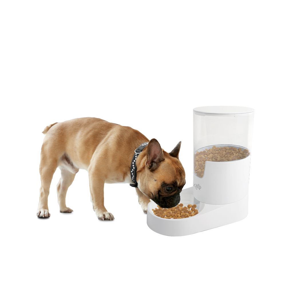 AFP Lifestyle 4 Pets Gravity Pet Food Feeder 2026 AFP Lifestyle 4 Pets Gravity Pet Food Feeder - Afbeelding 2