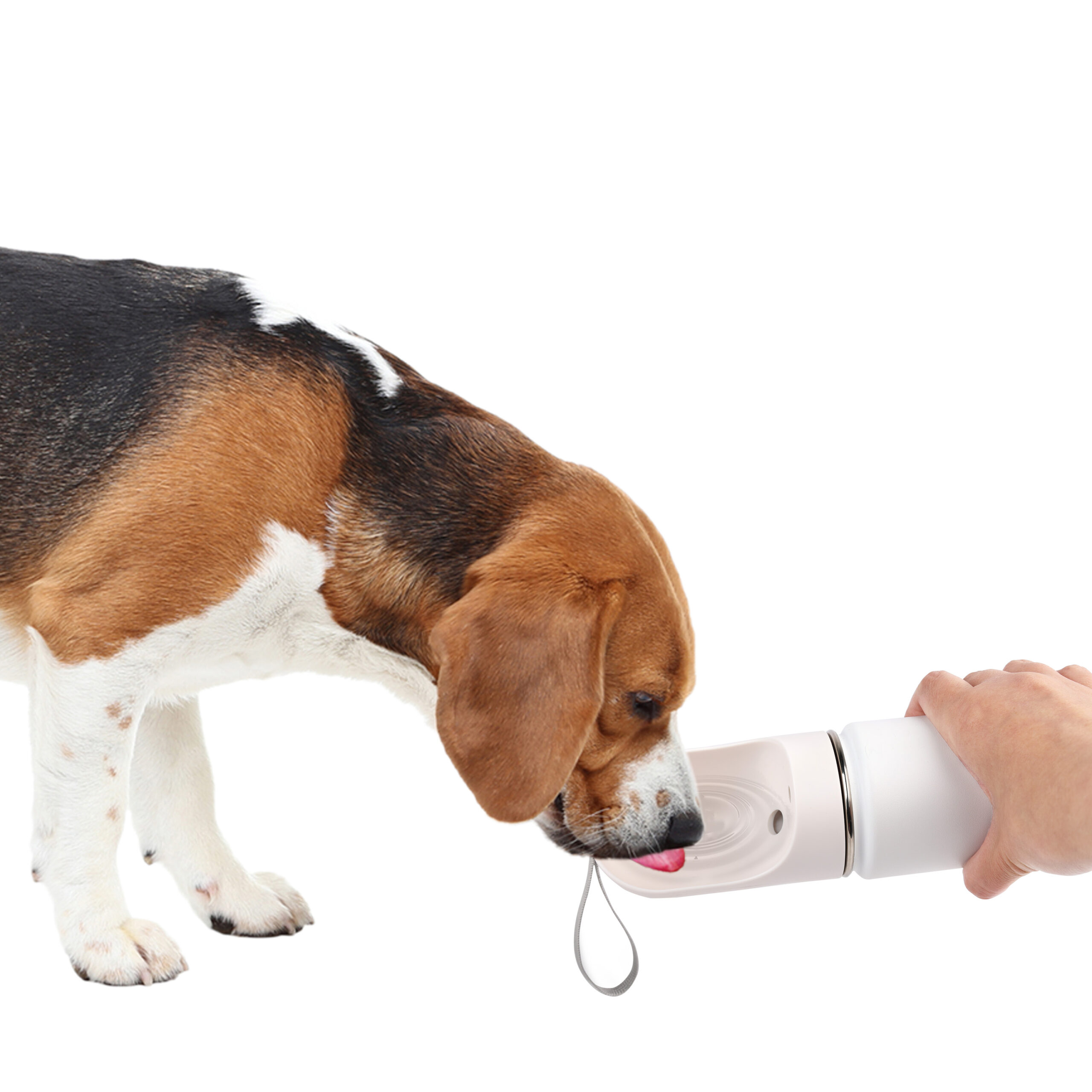 AFP 2 In 1 Stainless Drinking Bottle 2026 AFP 2 In 1 Stainless Drinking Bottle - Afbeelding 5