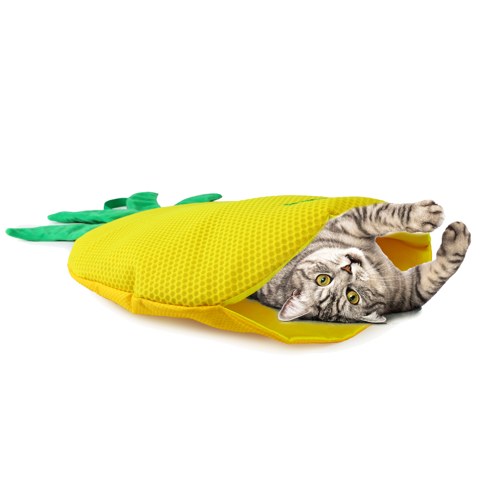 AFP Green Rush - Play Mat Ananas 2026 AFP Green Rush - Play Mat Ananas - Afbeelding 2