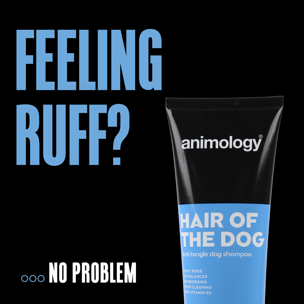 Animology Hair Of The Dog Anti-Tangle Dog Shampoo 250 ml 2026 Animology Hair Of The Dog Anti-Tangle Dog Shampoo 250 ml - Afbeelding 2