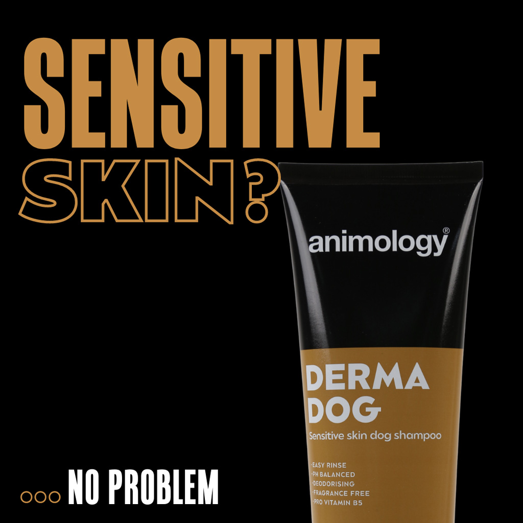 Animology Derma Dog Sensitive Skin Dog Shampoo 250 ml 2026 Animology Derma Dog Sensitive Skin Dog Shampoo 250 ml - Afbeelding 2