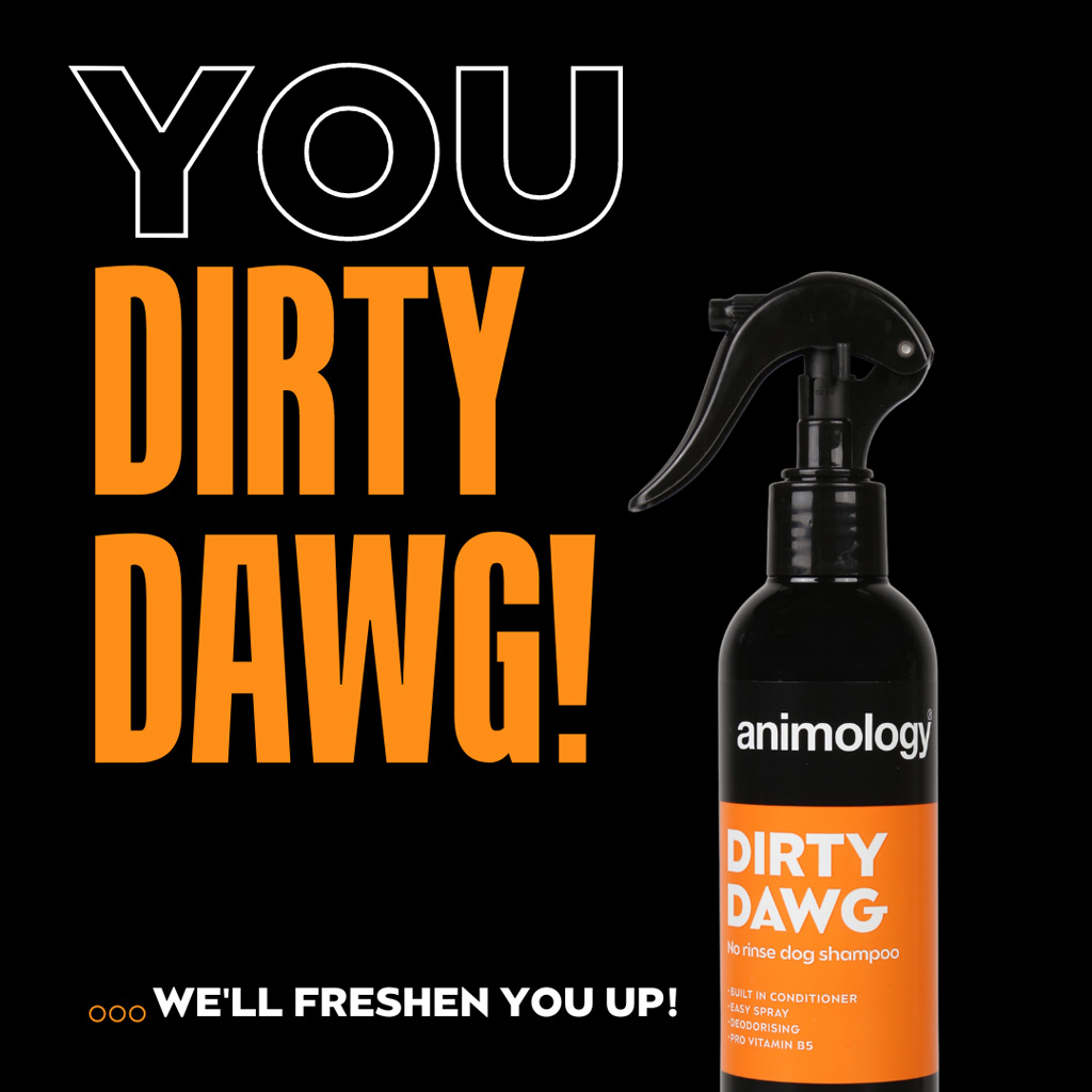 Animology Dirty Dawg No Rinse Dog Shampoo 250 ml 2026 Animology Dirty Dawg No Rinse Dog Shampoo 250 ml - Afbeelding 2