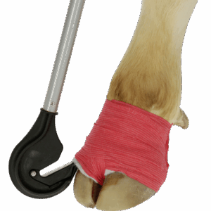 Klauwbandage snijder