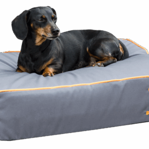 Bodyguard Royal Bed Grijs S