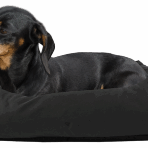 Bodyguard Sofa Bed Zwart S