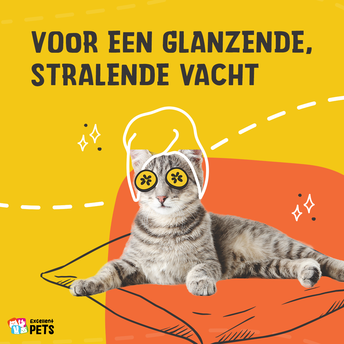 Excellent Pets Cat Salmon Oil 500 ml 2026 Excellent Pets Cat Salmon Oil 500 ml - Afbeelding 4