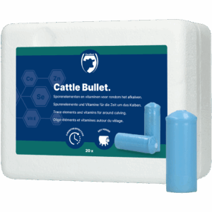 Excellent Cattle Bullet 20 st