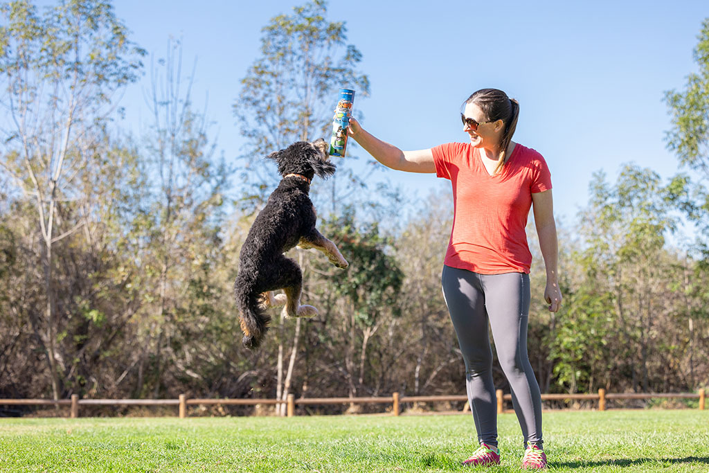 Chuckit! Sniff Fetch Ball Bacon & Peanut Butter M 4-pack 2026 Chuckit! Sniff Fetch Ball Bacon & Peanut Butter M 4-pack - Afbeelding 4