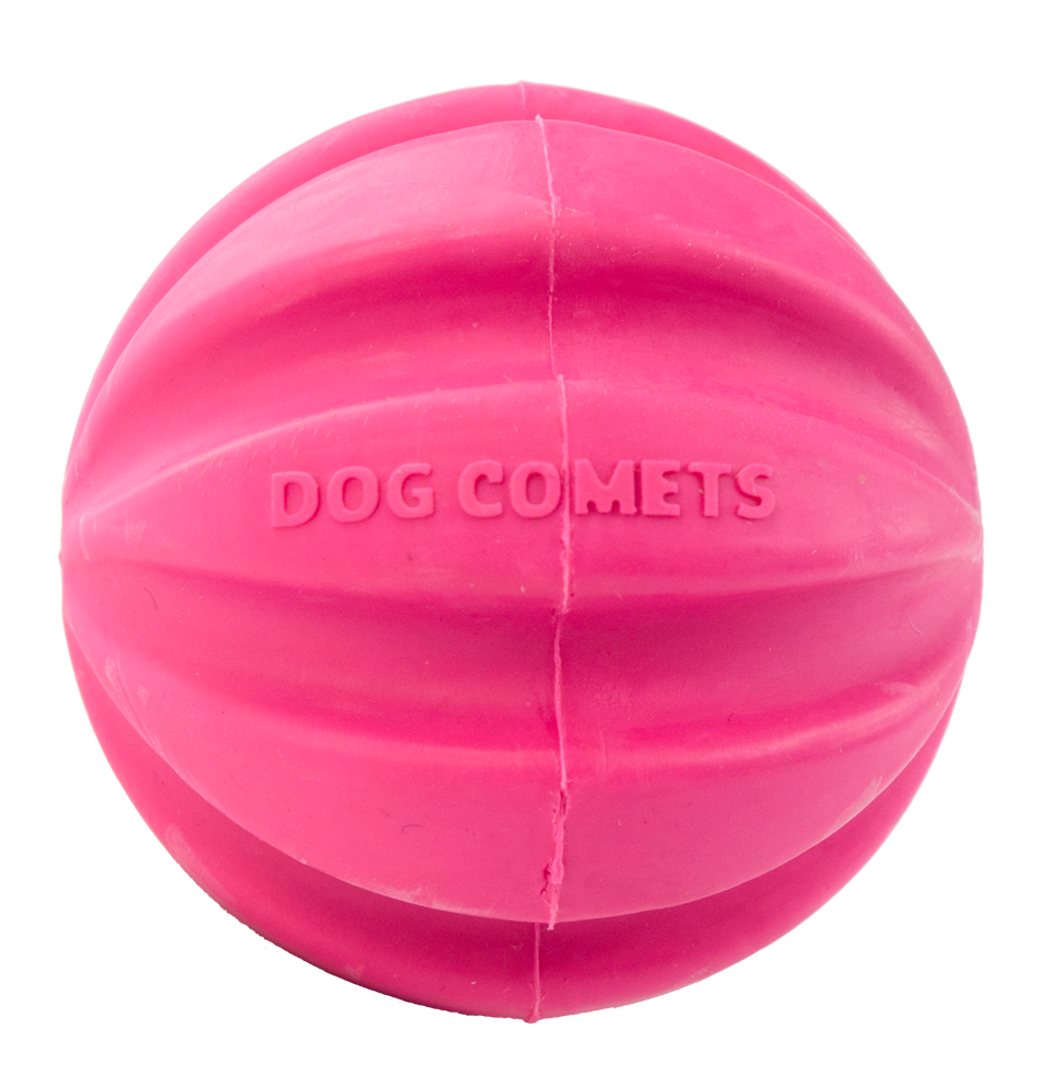 Dog Comets Halley Roze 2026 Dog Comets Halley Roze - Afbeelding 3