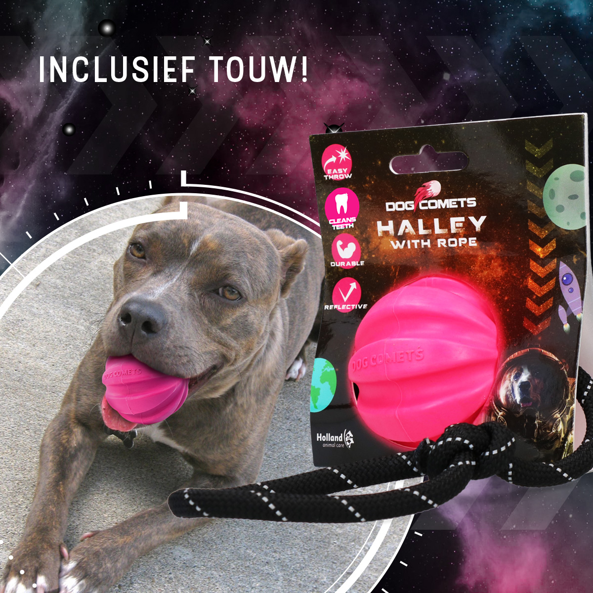 Dog Comets Halley Met Touw Roze 2026 Dog Comets Halley Met Touw Roze - Afbeelding 4