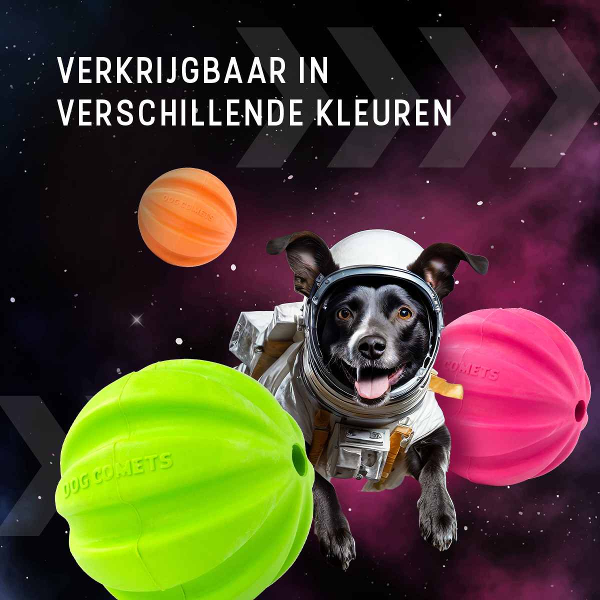 Dog Comets Halley Met Touw Roze 2026 Dog Comets Halley Met Touw Roze - Afbeelding 5