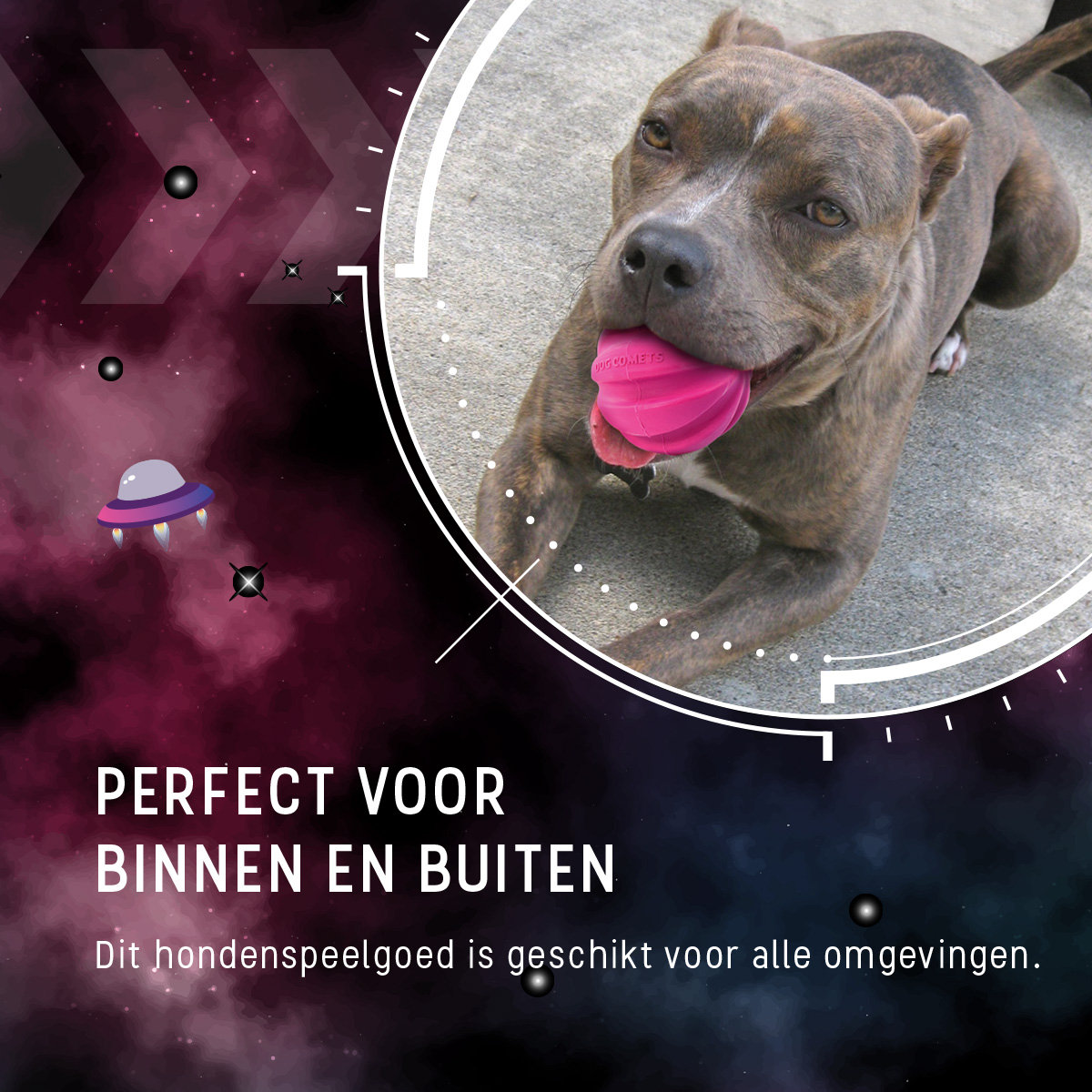 Dog Comets Halley Met Touw Roze 2026 Dog Comets Halley Met Touw Roze - Afbeelding 6