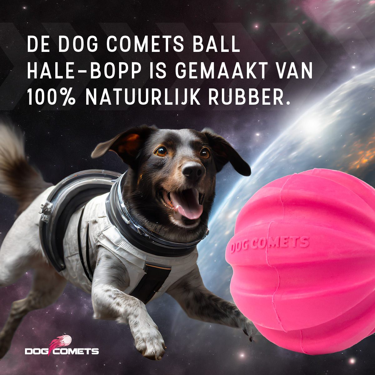Dog Comets Halley Roze 2026 Dog Comets Halley Roze - Afbeelding 6