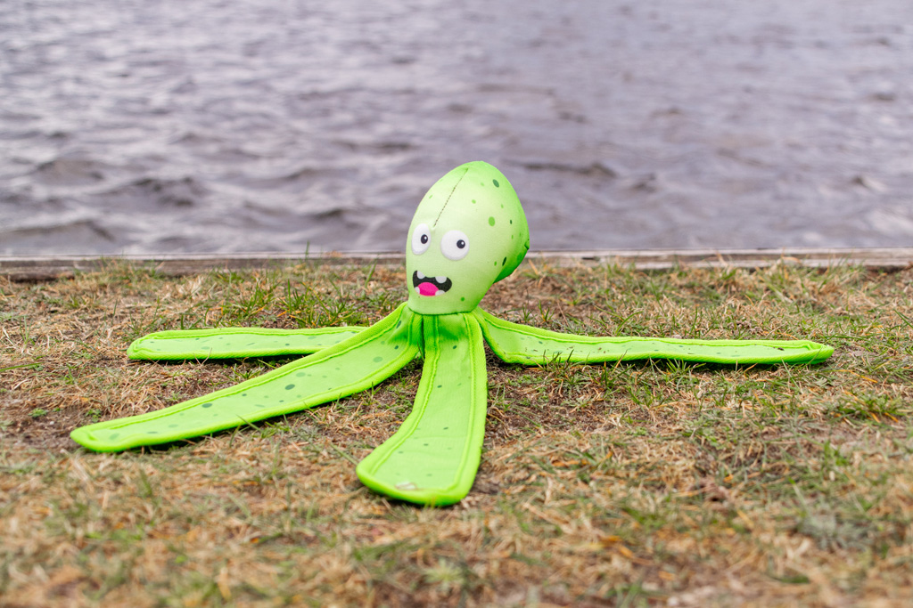 Dog Comets Alien Octo M Groen 2026 Dog Comets Alien Octo M Groen - Afbeelding 5