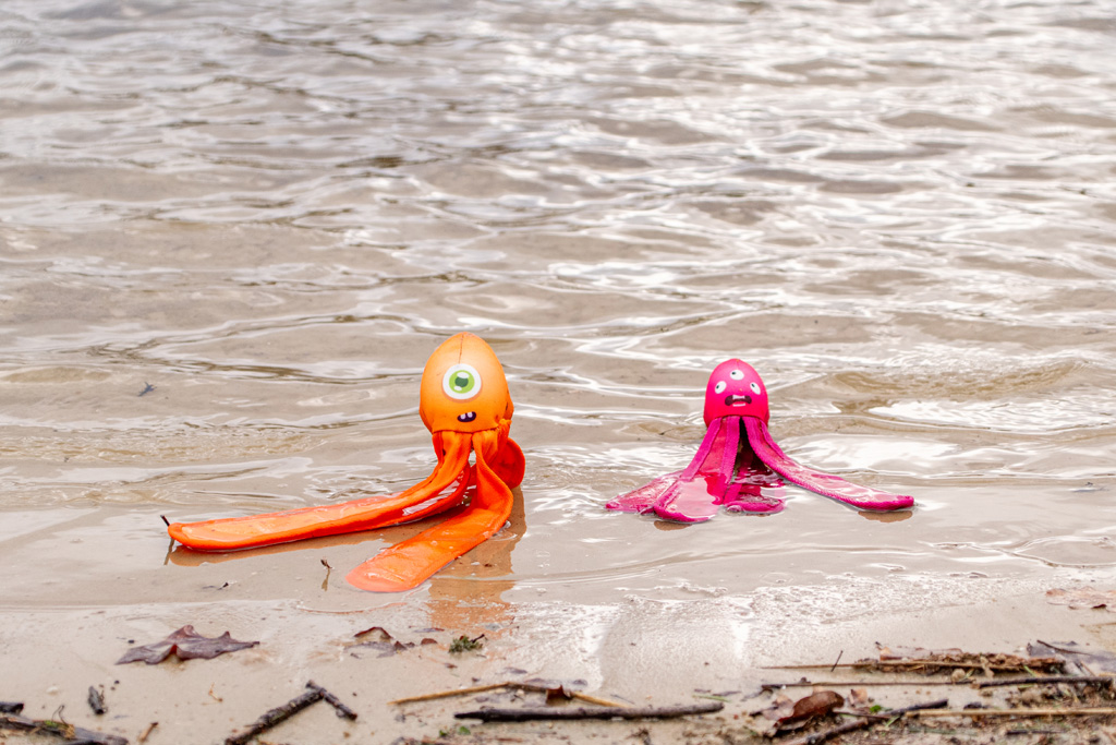 Dog Comets Alien Octo M Groen 2026 Dog Comets Alien Octo M Groen - Afbeelding 6