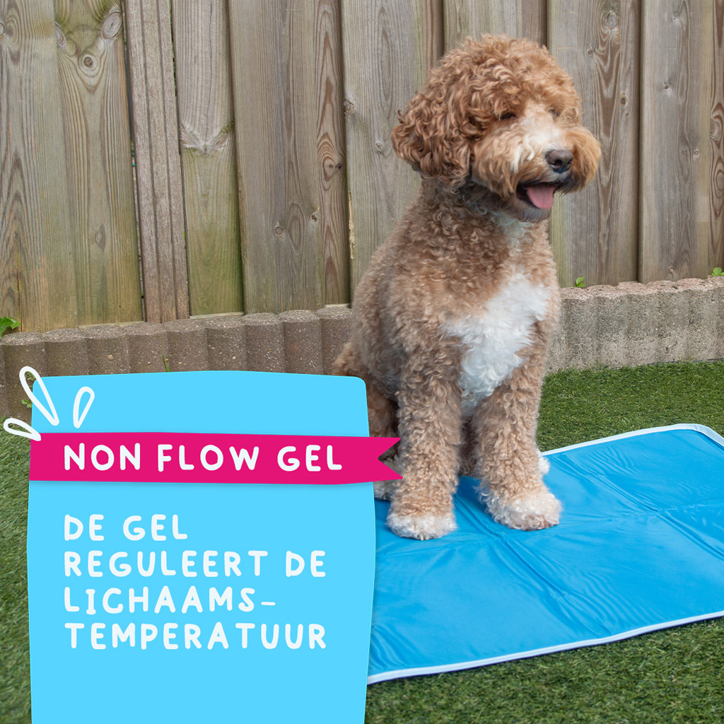 Coolpets Premium Solid gel Cooling Mat L 60x90cm 2026 Coolpets Premium Solid gel Cooling Mat L 60x90cm - Afbeelding 6