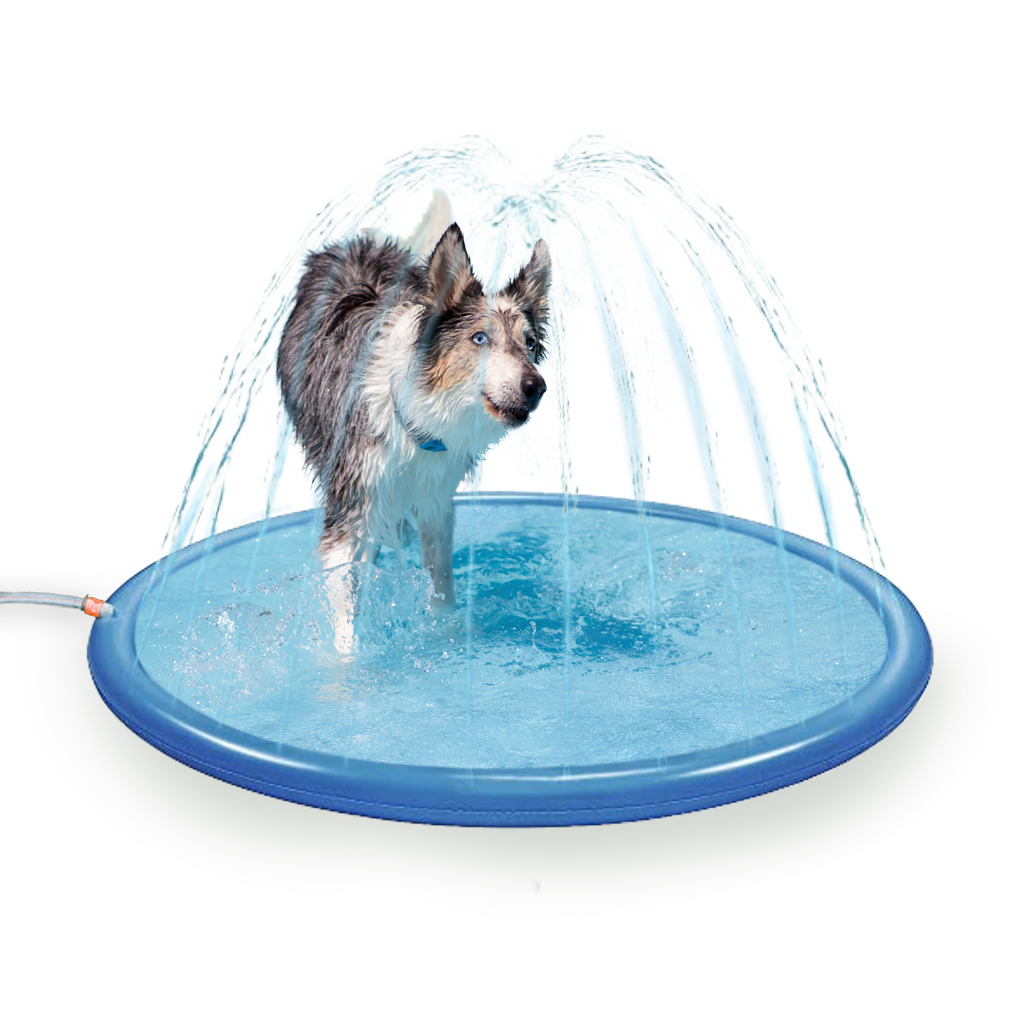 Coolpets Splash Sprinkler Pad M 150 cm 2026 Coolpets Splash Sprinkler Pad M 150 cm - Afbeelding 2