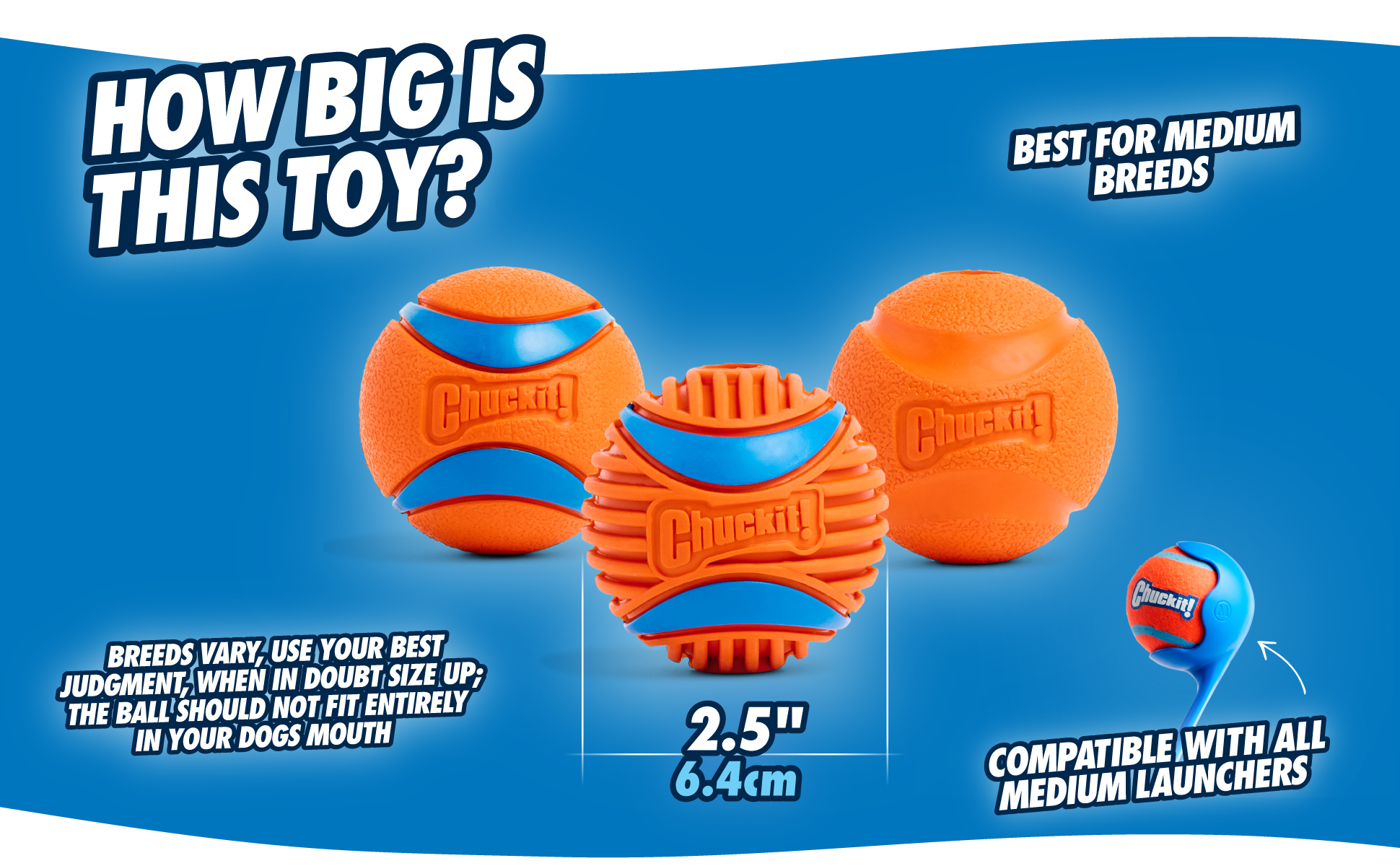 Chuckit! Fetch Ball L 2026 Chuckit! Fetch Ball L - Afbeelding 4