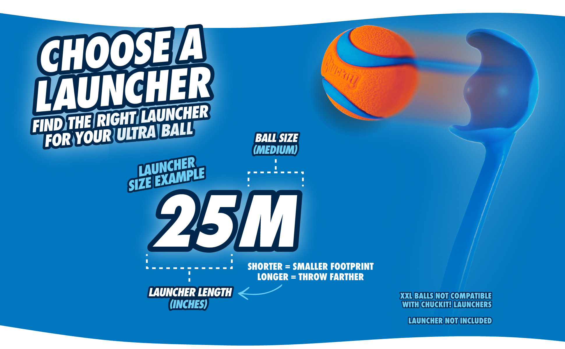 Chuckit! Fetch Ball L 2026 Chuckit! Fetch Ball L - Afbeelding 5