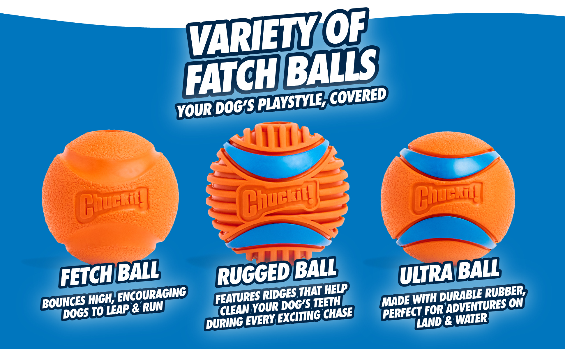 Chuckit! Fetch Ball L 2026 Chuckit! Fetch Ball L - Afbeelding 6
