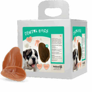 Dental Ears Medium 12 st.