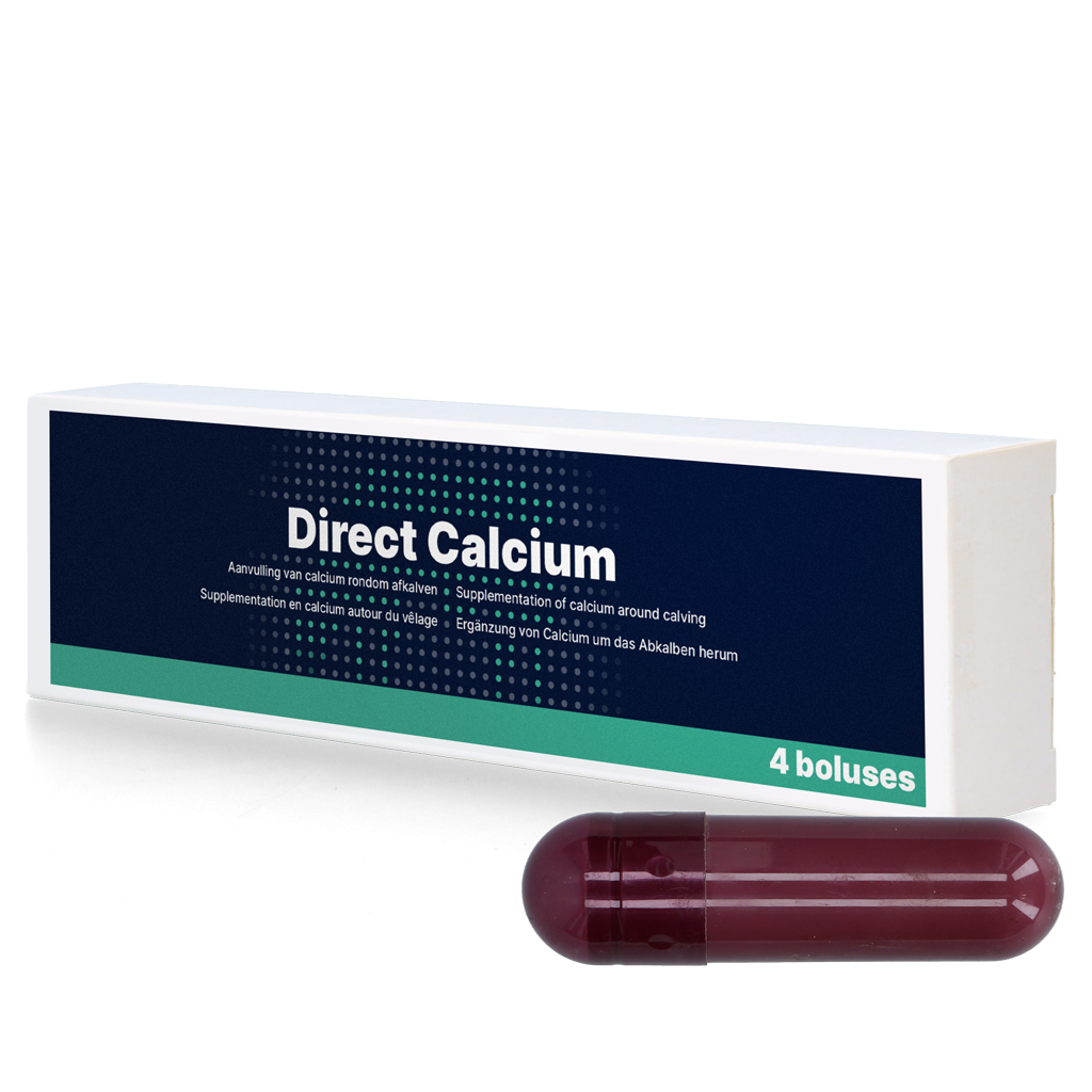 Direct Calcium 4 x 94 g 2026 Direct Calcium 4 x 94 g