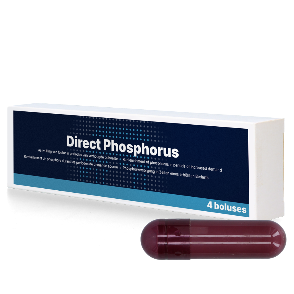 Direct Phosphorus 4 x 123 g 2026 Direct Phosphorus 4 x 123 g