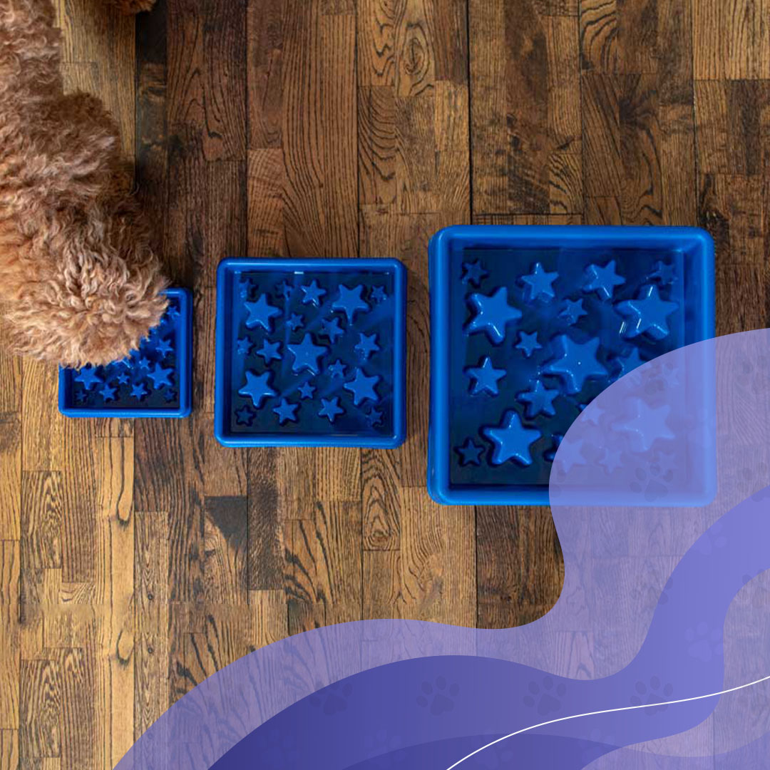 Eat Slow Live Longer Star Blauw L 2026 Eat Slow Live Longer Star Blauw L - Afbeelding 4