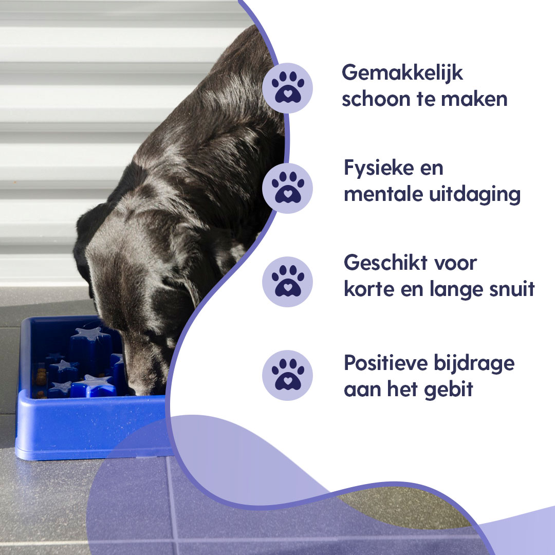 Eat Slow Live Longer Star Blauw L 2026 Eat Slow Live Longer Star Blauw L - Afbeelding 2