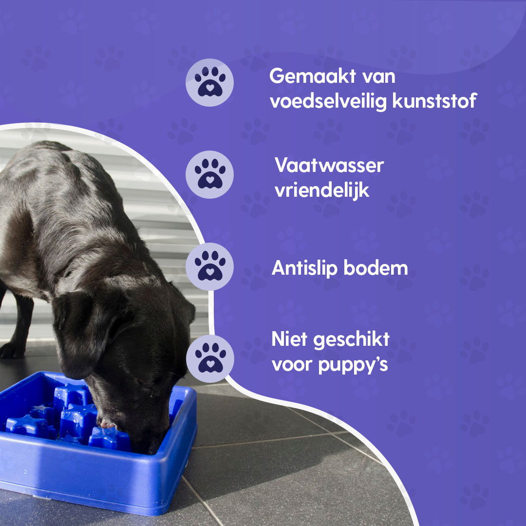 Eat Slow Live Longer Star Blauw L 2026 Eat Slow Live Longer Star Blauw L - Afbeelding 3