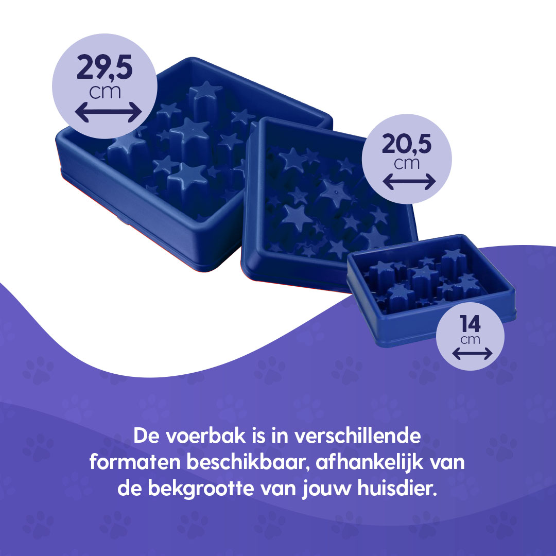 Eat Slow Live Longer Star Blauw L 2026 Eat Slow Live Longer Star Blauw L - Afbeelding 5