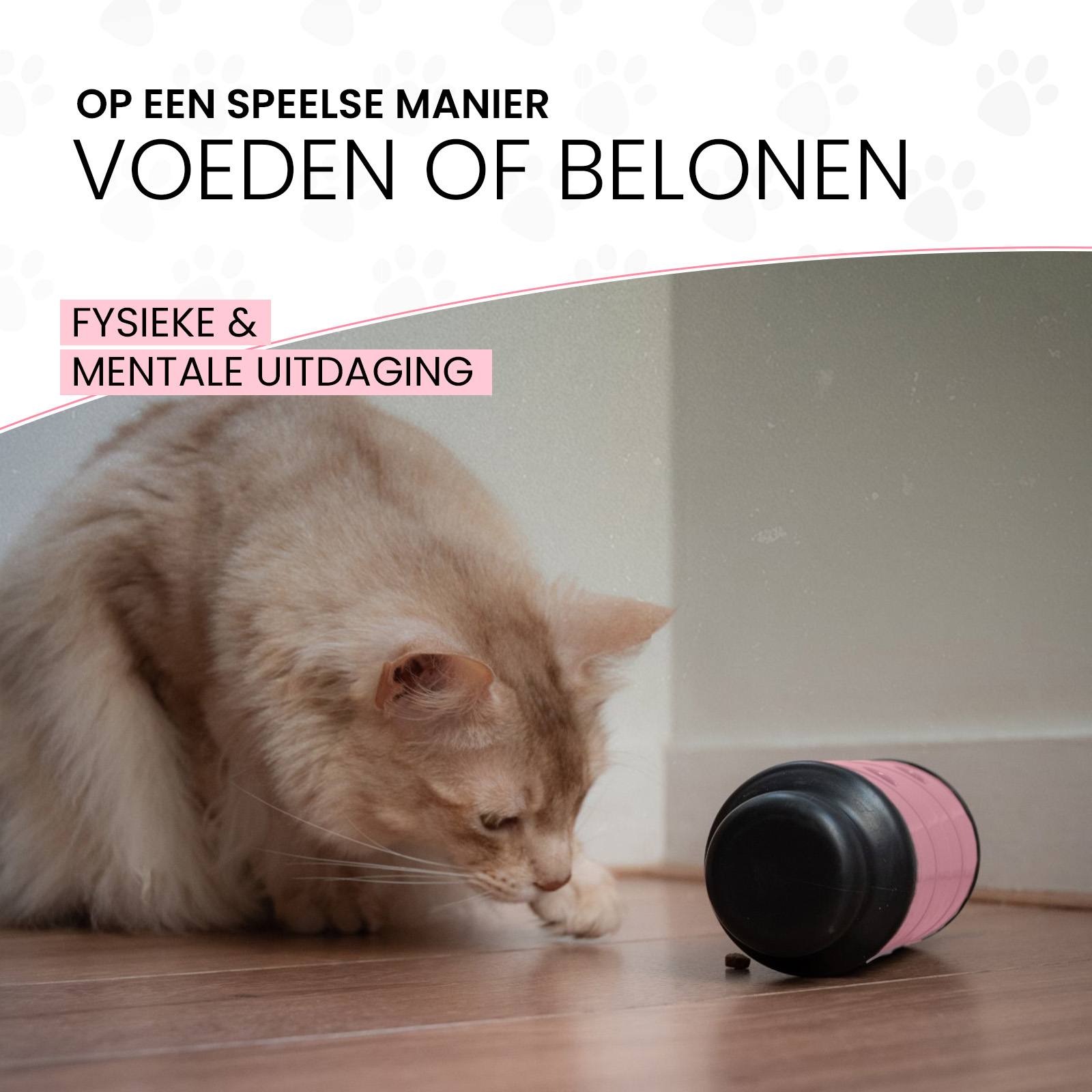 Eat Slow Live Longer Feed & Treat Roller Roze S 2026 Eat Slow Live Longer Feed & Treat Roller Roze S - Afbeelding 5