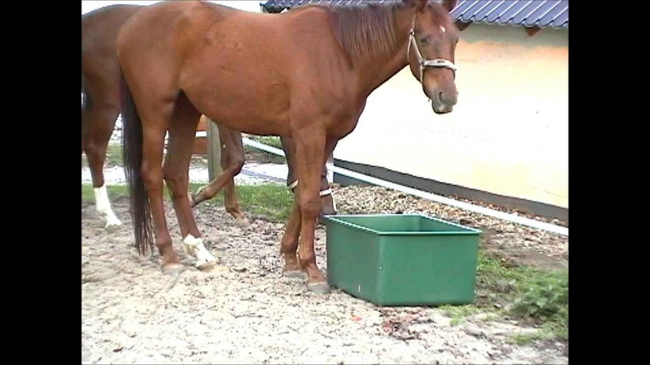 OK Plast Weidebak 200 l 2026 OK Plast Weidebak 200 l - Afbeelding 2