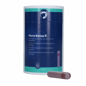 Excellent Ferro Bolus P 24 x 8,5 g