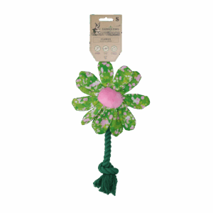 Garden Paws Flower Summer Shrubs S