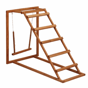 Gaun Chicken Activity Center