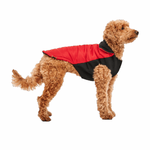 Goo-eez Mock Neck Signature Wrap Jacket XS Rood/Zwart