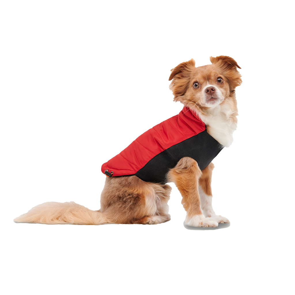 Goo-eez Mock Neck Signature Wrap Jacket XXL Rood/Zwart 2026 Goo-eez Mock Neck Signature Wrap Jacket XXL Rood/Zwart - Afbeelding 3