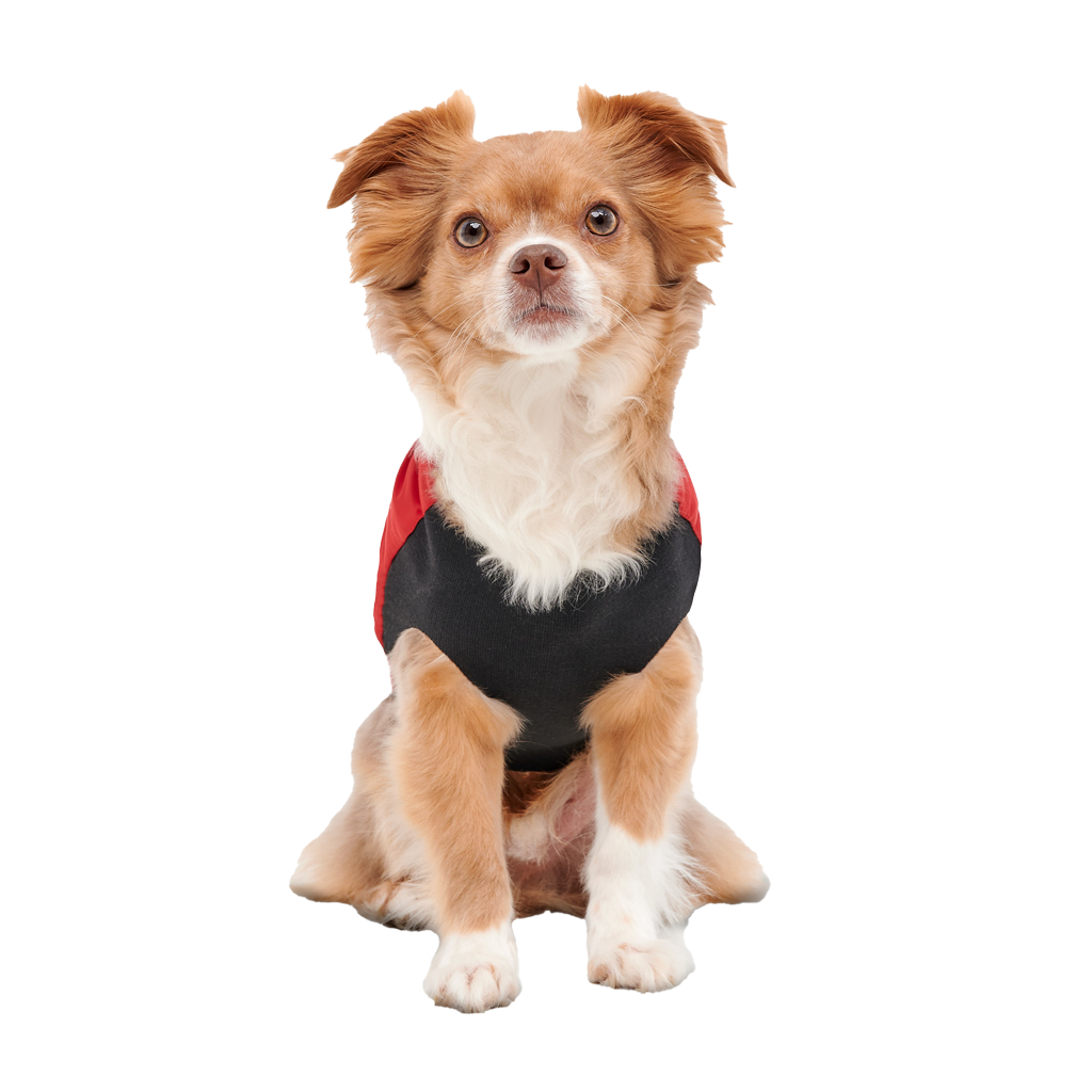 Goo-eez Mock Neck Signature Wrap Jacket XXL Rood/Zwart 2026 Goo-eez Mock Neck Signature Wrap Jacket XXL Rood/Zwart - Afbeelding 5