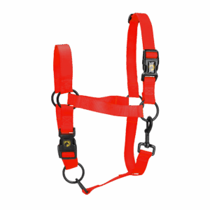 Excellent Essential Halster Rood M