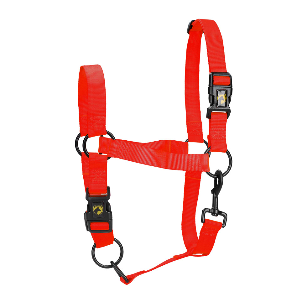 Excellent Essential Halster Rood XL 2026 Excellent Essential Halster Rood XL