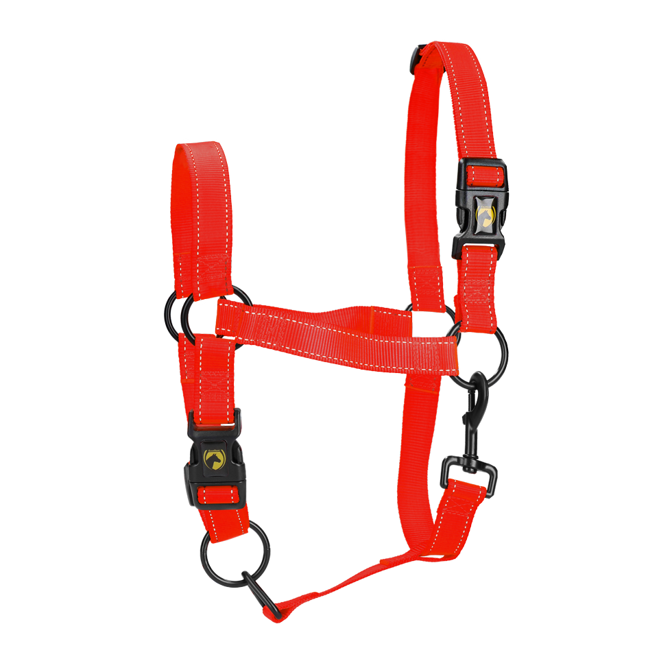 Excellent Premium Halster Rood L 2026 Excellent Premium Halster Rood L